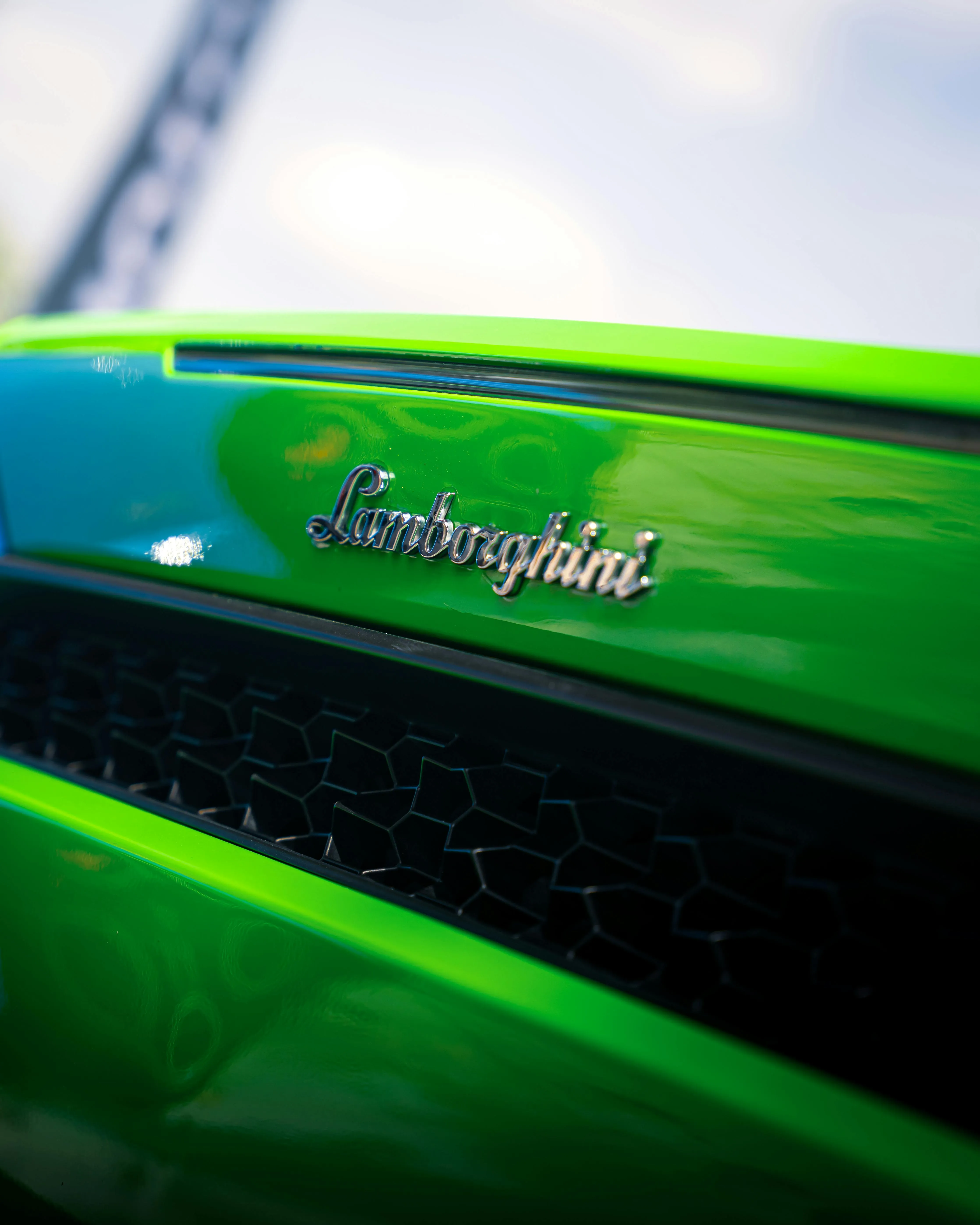 New car protection — image 3